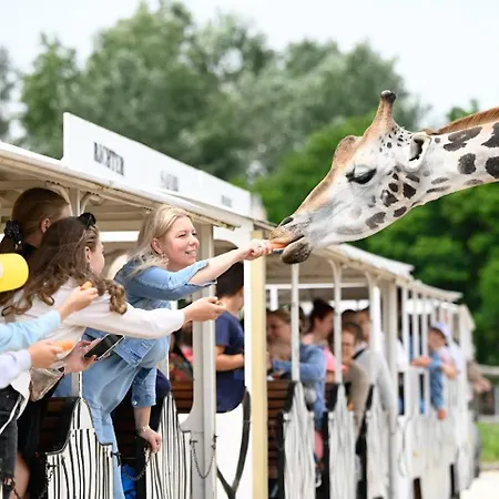 Toparti Safari-haz A Richter Safari Parkban Vip Belepojeggyel - Lakeside Safari House At Richter Safari Park With Vip Entry Ticket Apartman