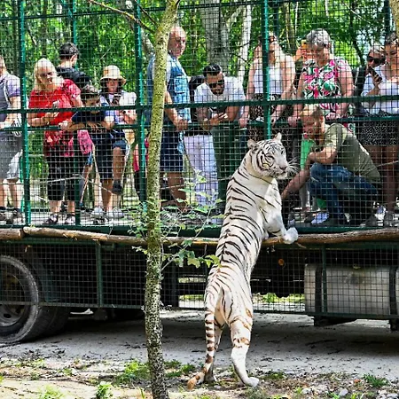 Toparti Safari-haz A Richter Safari Parkban Vip Belepojeggyel - Lakeside Safari House At Richter Safari Park With Vip Entry Ticket Apartman *